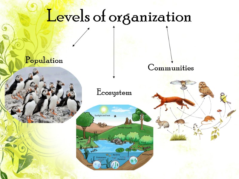 Levels of organization   Communities    Ecosystem   Population